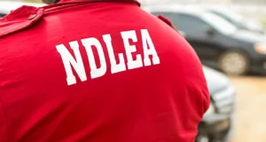 How NDLEA Took Down a $362 Million Meth Empire Hidden in an Ogun Forest