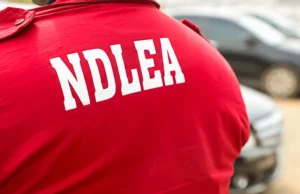 How NDLEA Took Down a $362 Million Meth Empire Hidden in an Ogun Forest