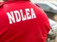 How NDLEA Took Down a $362 Million Meth Empire Hidden in an Ogun Forest