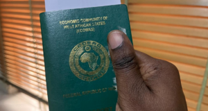 Updated list of African countries Nigerians can visit without a visa