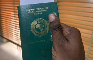 Updated list of African countries Nigerians can visit without a visa