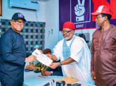 Peter Obi cleared to contest NDC presidential primary