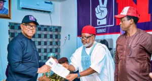 Peter Obi cleared to contest NDC presidential primary