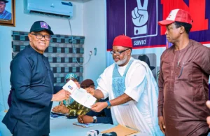 Peter Obi cleared to contest NDC presidential primary